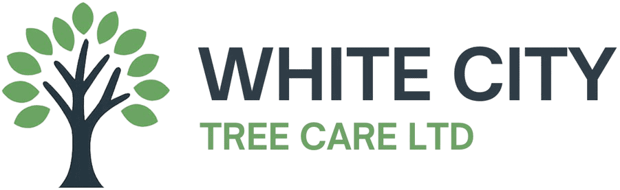 White City Tree Care Ltd